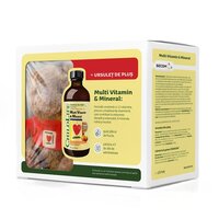 Pachet Multivitamine si minerale pentru copii Childlife Essentials, 237 ml+Ursulet de plus, Secom