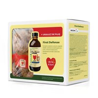 Pachet Sirop First Defense 118.5 ml+Ursulet de plus, Secom
