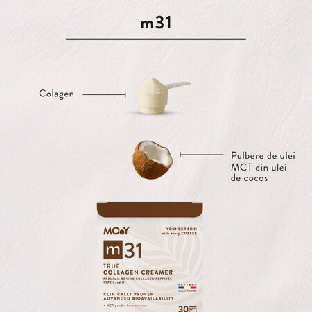 Pudra de colagen bovin cu peptide m31 True Colagen Creamer, 210 g, Molecules of Youth 707631