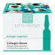 Set Fiole  pentru fermitatea pielii Collagen Boost, 5 x 3 ml, Dr. Grandel 708008
