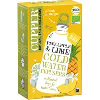 Ceai rece de fructe cu aroma de ananas si lamaie verde, 10 plicuri, Cupper