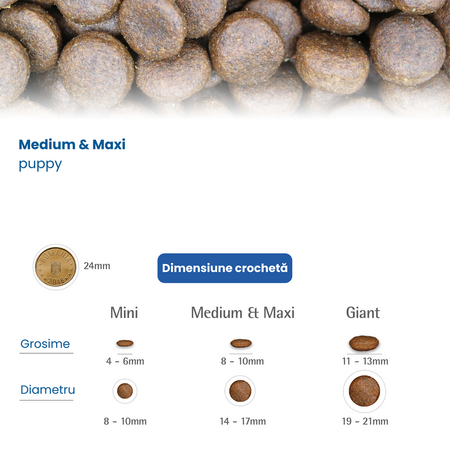Hrana uscata cu miel si afine pentru caini N&D Ancestral Grain, 2500 g, Farmina 710716