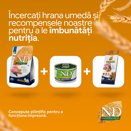 Hrana uscata cu miel, alac, ovaz si afine pentru caini N&D Adult Mini Ancestral Grain, 2500 g, Farmina 732196