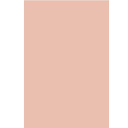 Lac de unghii Light Nude Hybrid Fusion, 10.5 ml, Andreia Professional 665491