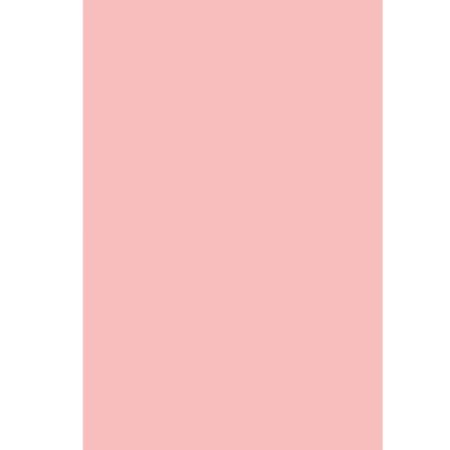 Lac de unghii Rosa Ballet Hybrid Fusion, 10.5 ml, Andreia Professional 665830