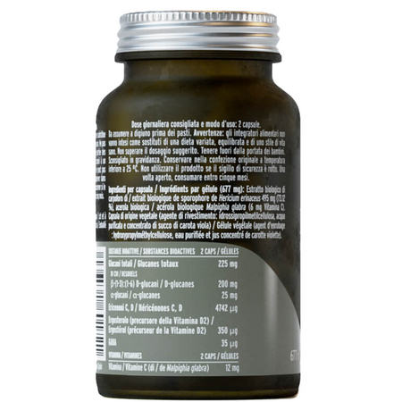Extract din coama leului Mico Leo, 70 capsule, Hifas da Terra 711571