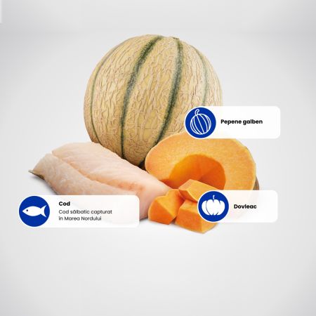 Hrana uscata cu cod, dovleac si pepene galben pentru caini Puppy Medium and Maxi Ocean N&D, 2.5 kg, Farmina 711644