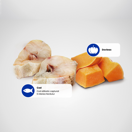 Hrana umeda cu dovleac si cod pentru caini Puppy Ocean N&D, 285 g, Farmina 711657