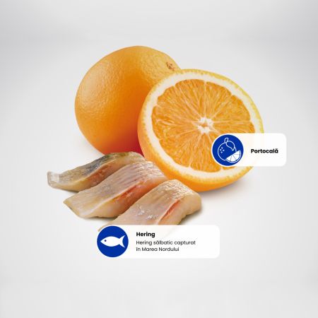 Hrana uscata cu hering si portocala pentru pisici adulte sterilizate Ocean N&D, 1.5 kg, Farmina 711689