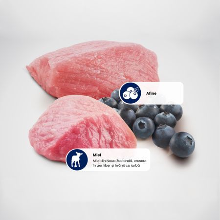 Hrana umeda cu carne de miel si afine pentru caini Adult Mini Prime N&D, 140 g, Farmina 711709