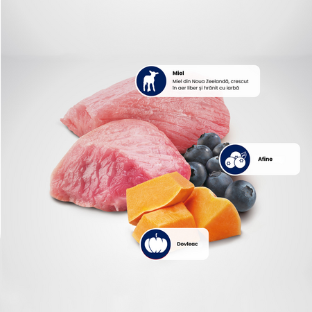 Hrana umeda cu carne de miel, dovleac si afine pentru caini Adult Pumpkin N&D, 285 g, Farmina 711833
