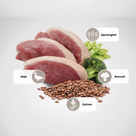 Hrana uscata cu carne de rata pentru caini adulti sterilizati Adult Mini Quinoa Neutered N&D, 2.5 kg, Farmina 711900