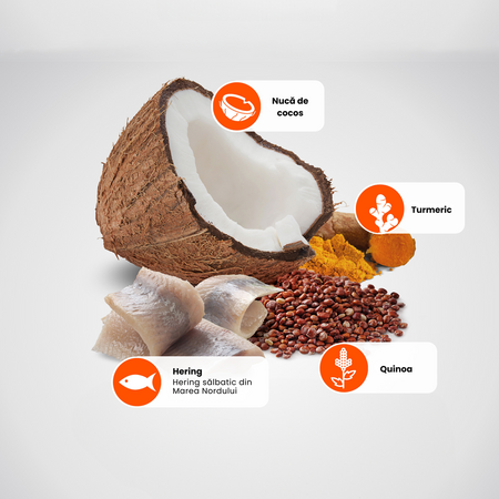 Hrana uscata cu hering, quinoa, nuca de cocos pentru caini adulti Quinoa Skin and Coat N&D, 2.5 kg, Farmina 711907