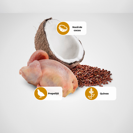 Hrana umeda cu carne de prepelita si nuca de cocos pentru caini adulti Adult Mini Quinoa Skin and Coat N&D, 140 g, Farmina 711942