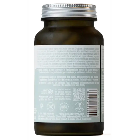 Extracte din ciuperci, fosolipide si vitamine Hifas Neuro, 60 capsule, Hifas da Terra 711963