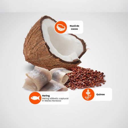 Hrana umeda cu hering si nuca de cocos pentru pisici Quinoa Skin and Coat N&D, 80 g, Farmina 712094