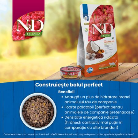 Hrana umeda cu hering si nuca de cocos pentru pisici Quinoa Skin and Coat N&D, 80 g, Farmina 712096