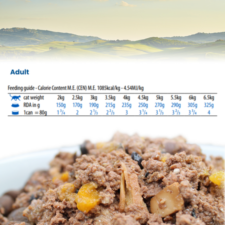 Hrana umeda cu hering si nuca de cocos pentru pisici Quinoa Skin and Coat N&D, 80 g, Farmina 712095