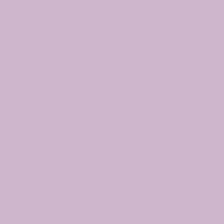 Lac de unghii Baby Lavender NutriColor, 10.5 ml, Andreia Professional 662944