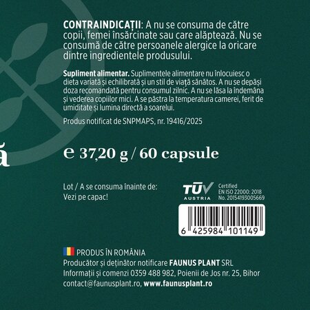 Quercetina, 60 capsule, Faunus 714799