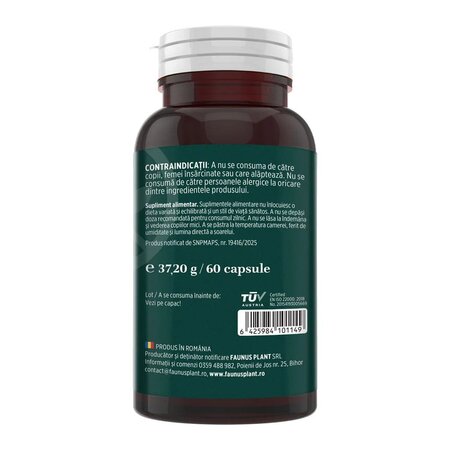 Quercetina, 60 capsule, Faunus 714796