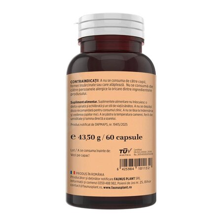 Turmeric cu Piperina, 60 capsule, Faunus 714826