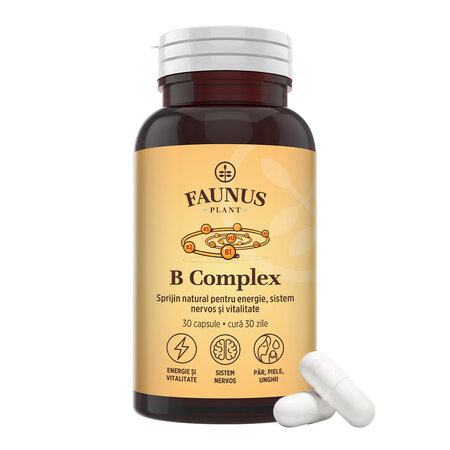 B complex, 30 capsule, Faunus 751741