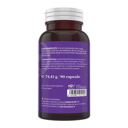 Magneziu Bisglicinat + Vitamina B6, 90 capsule, Faunus 714910