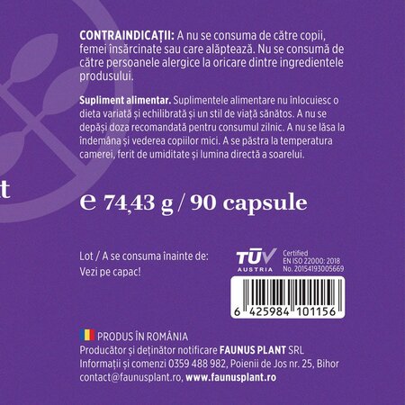 Magneziu Bisglicinat + Vitamina B6, 90 capsule, Faunus 714913