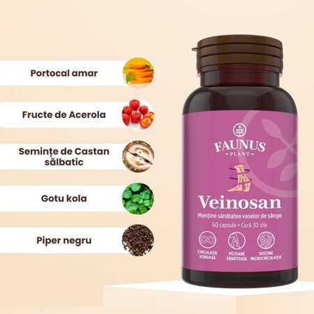 Veinosan, 60 capsule, Faunus 714919