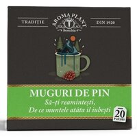 Ceai de muguri de pin, 20 plicuri, Aroma Plant
