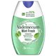 Pasta de dinti 2in1 Mint Fresh, 75 ml, Vademecum 726863