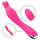 Vibrator roz cu capete interschimbabile Cher, 1 bucata, Intense 723706