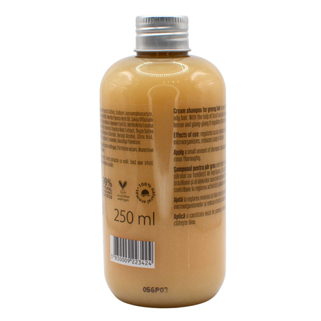 Sampon pentru par gras, 250ml, Naturavit 723865