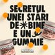 Jeleuri gumate cu multivitamine, minerale si omega 3 Multivitamin, 60 bucati, Badagoom 724473