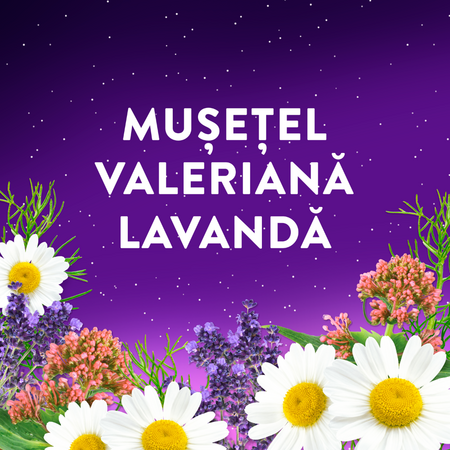 Melatonina Somn, 60 jeleuri, ZzzQuil 724901