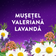 Melatonina Somn, 60 jeleuri, ZzzQuil 724901