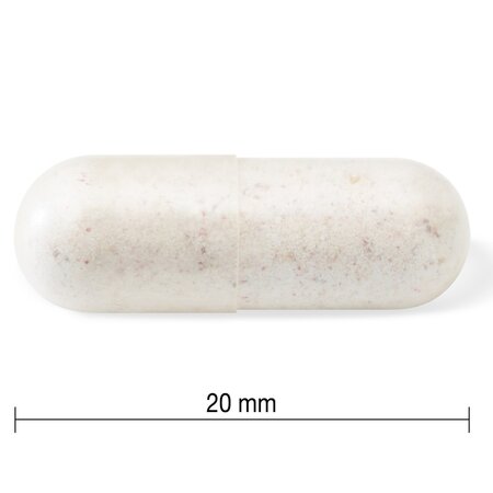 Probiotic 10 miliarde, 60 capsule vegetale, Jamieson 725344