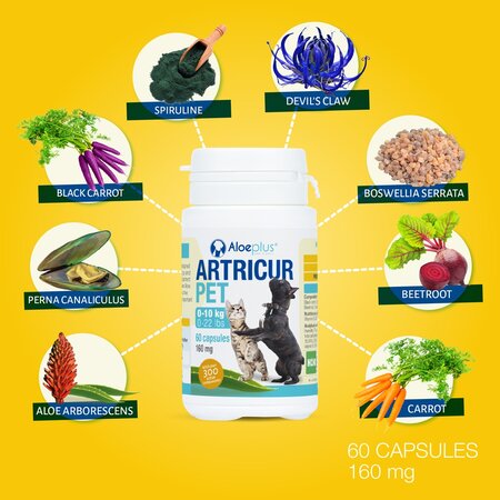 Supliment pentru articulatii si mobilitate pentru caini si pisici Artricur, 200 mg, 60 capsule, Aloeplus 726080