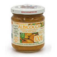 Gem eco de caise, 100% fruct, 210 g, Biovicta