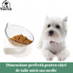 Castron inclinat si elevat pentru apa sau mancare pentru caini si pisici, Yatrick 728194