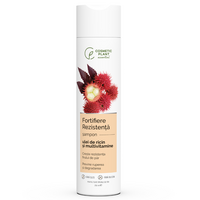 Sampon cu ulei de ricin si multivitamine pentru fortifiere si rezistenta Essential, 250 ml, Cosmetic Plant