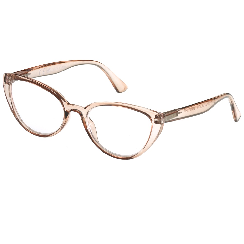 ochelari-de-citit-standard-er6390e-2-50-1-bucata-lornion-6896.jpg