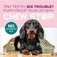 Spray impotriva rosului pentru catelusi Chew Stop Puppy, 236 ml, Tropiclean 731579