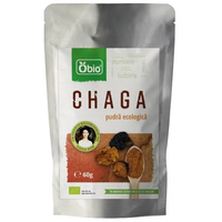 Pudra de ciuperci Chaga, 60 g, Obio