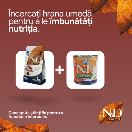 Hrana uscata cu miel, morcov si spirulina N&D Brown Adult Mini, 2000 g, Farmina 741789
