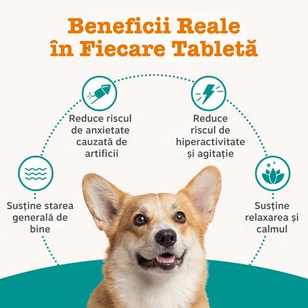 Calming Chews, 50 tablete masticabile, Zesty Paws 738242
