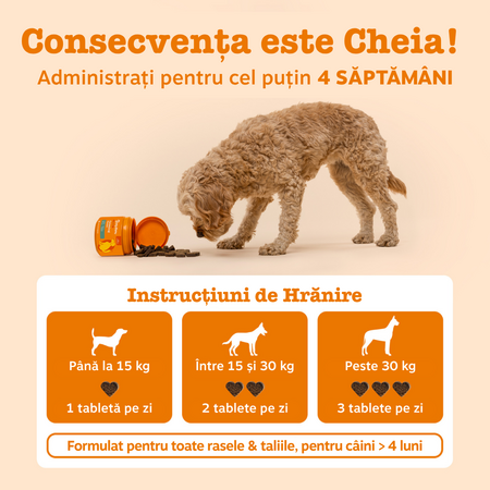 Supliment pentru sistemul imunitar la caini Aller-Immune Chews, 50 tablete masticabile, Zesty Paws 738270