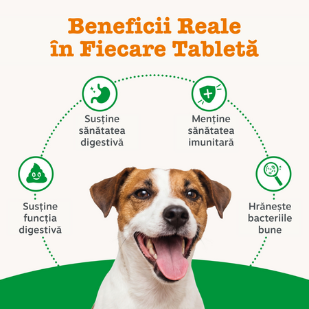 Prebiotice, Probiotice si Postbiotice pentru caini Probiotic Chews, 50 tablete masticabile, Zesty Paws 738277