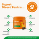 Prebiotice, Probiotice si Postbiotice pentru caini Probiotic Chews, 50 tablete masticabile, Zesty Paws 738276